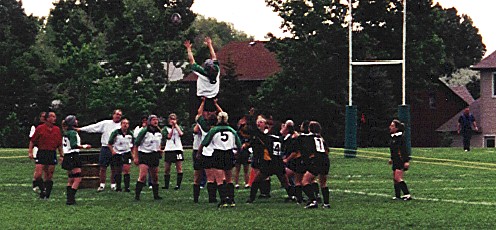 lineout.jpg